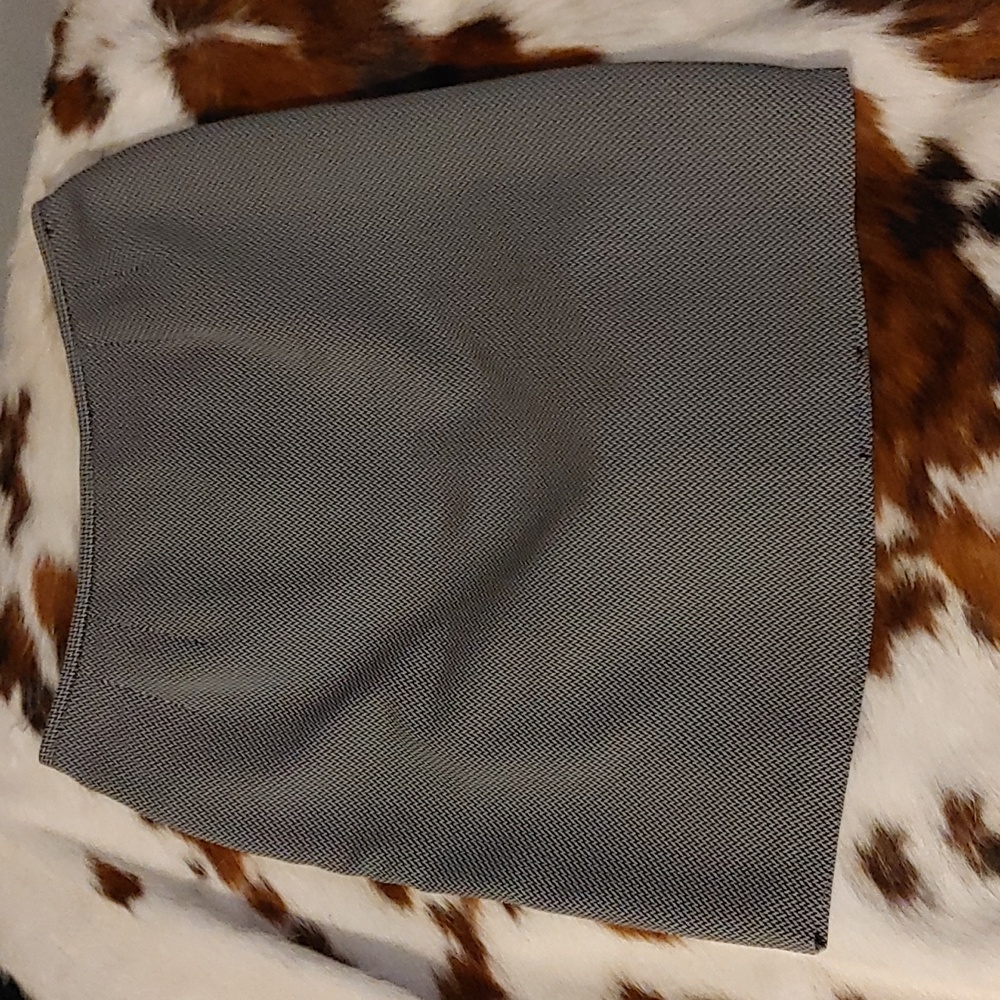 Kasper Skirt Sz 10 P